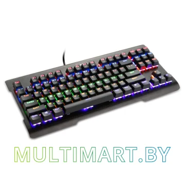 Клавиатура Redragon Visnu RGB